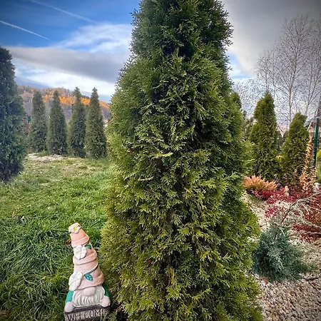 Sniezna - Karpacz * Sosnówka