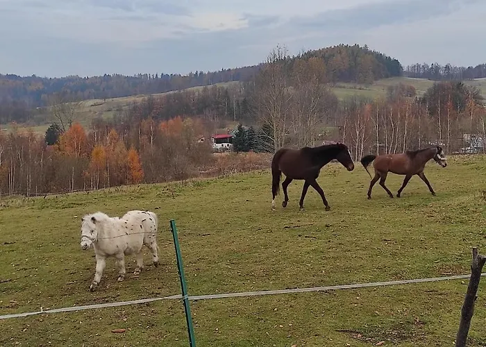 Alpstuga Sniezna - Karpacz