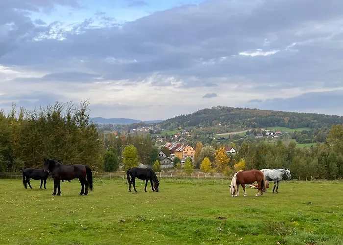 シャレー Sniezna - Karpacz